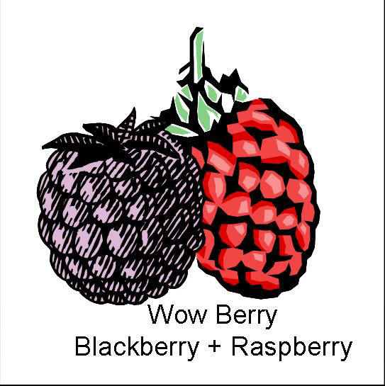 WOW Berry